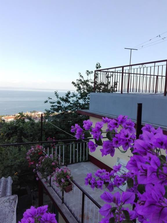 לובראן Apartment Bugenvilija מראה חיצוני תמונה