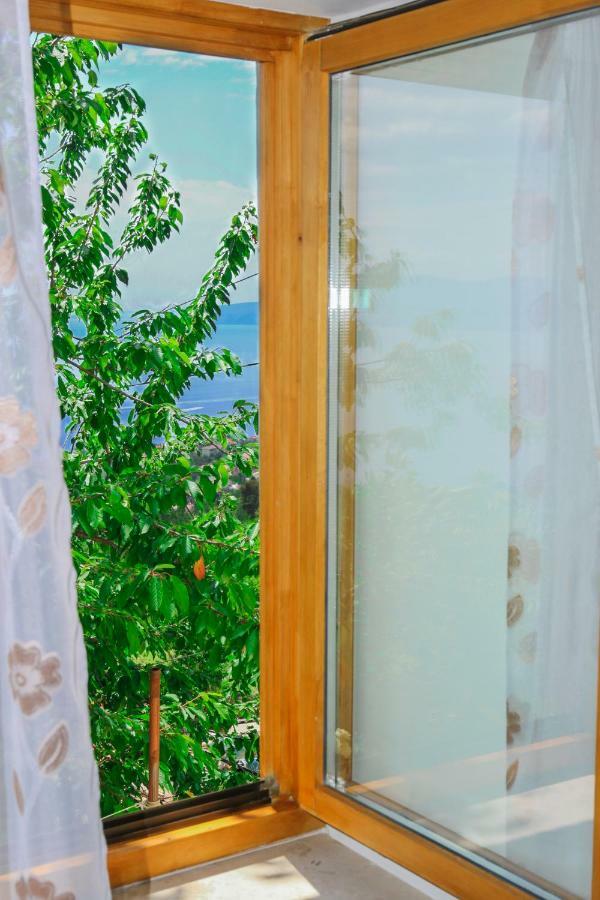 לובראן Apartment Bugenvilija מראה חיצוני תמונה